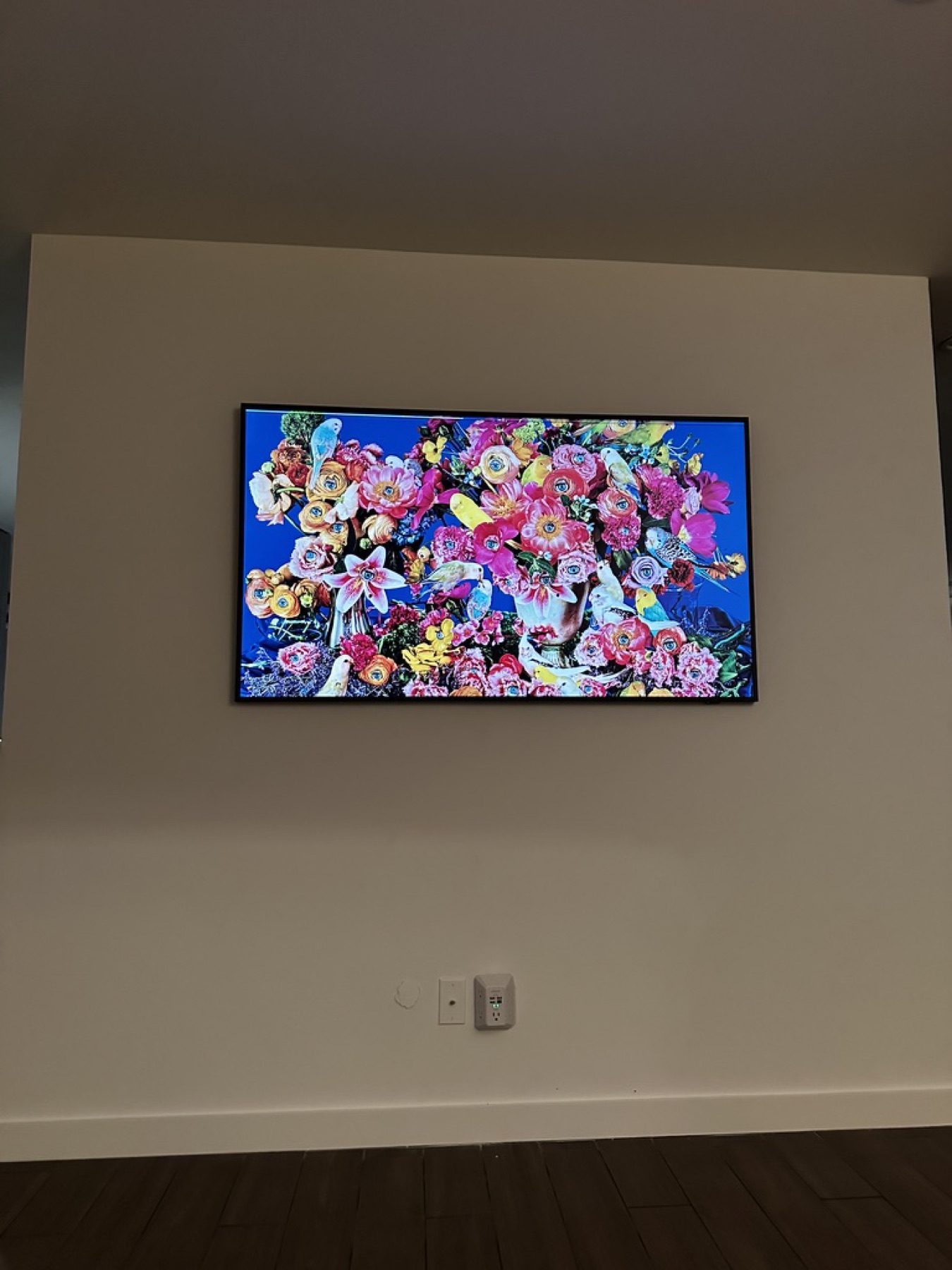 Art TV with floral artwork